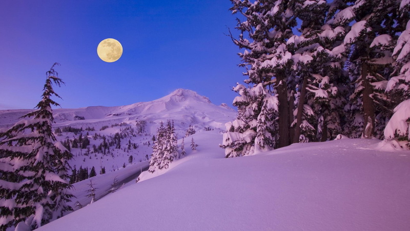 mount, nature, photo, full, moon, 1920x1080, oregon, night, hood, covered, 1080P, mount hood, snow, trees
