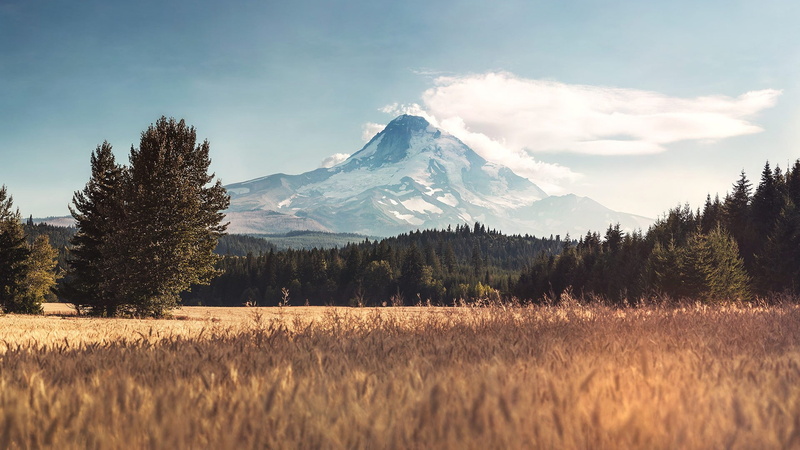 Oregon, trees, photo manipulation, forest, clouds, Mount Hood, 1080P, field, mountains
