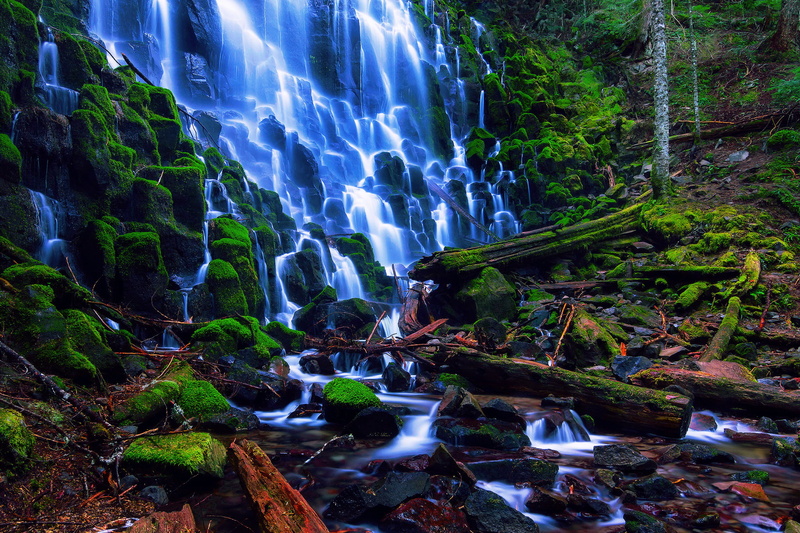 tree, beauty in nature, solid, 1080P, forest, Oregon, branches, blurred motion, land, non-urban scene, flowing water, national forest mount hood, power in nature