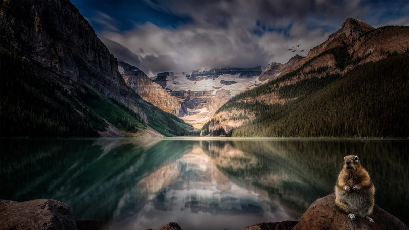 solid, reflection, canada, rock, national park, mammal, banff national park, reflected, mountain, lake louise, beauty in nature, formation, victoria glacier