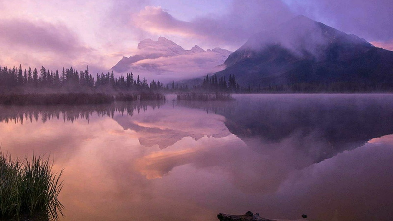 mountain, tree, alberta, lake, plant, reflection lake, vermilion lakes, tranquil scene, scenics - nature, environment, morning, no people, sky, nature