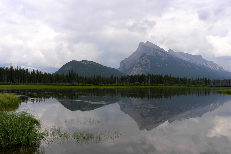 the rocky mountains, plant, water mist, rocky mountains, tranquility, tranquil scene, sky, mountain peak, no people, reflection lake, vermilion lake, mountain range