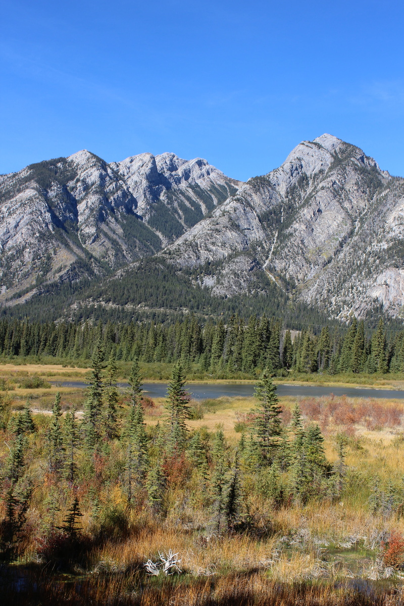 vermilion, mountain peak, mountain, plant, formation, canadian, no people, tree, scenics - nature, park, sky, tranquility, landscape, rocky Mountains, vermilion lakes