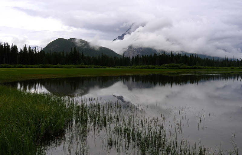 plant, day, environment, cloud - sky, mountain, rocky mountains, 4K, vermilion lake, canada, water mist, the rocky mountains, no people, beauty in nature