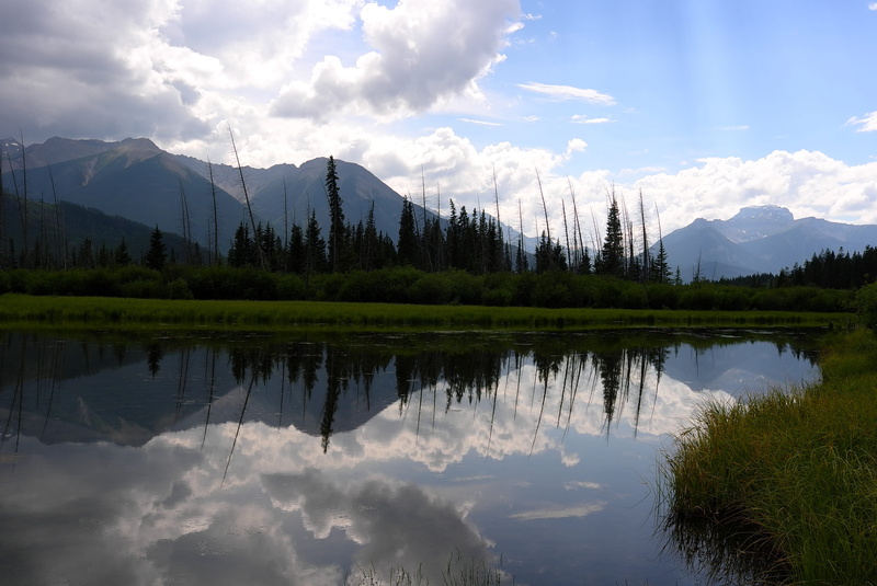 4K, the rocky mountains, tourist destination, non-urban scene, mountain range, tree, plant, scenics - nature, cloud - sky, waterfront, lake, rocky mountains