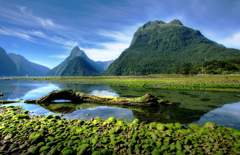 landscape photography nature mountains moss milford sound fjord national park new zealand, 1080P