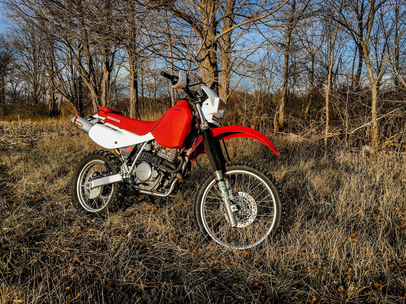 forest, land vehicle, motorcycle, bare tree, travel, outdoors, corn field, transportation, united states, day, field, allendale charter township, honda