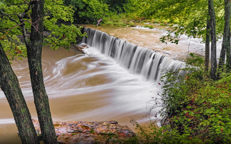 forest, brown, environment, long exposure, flowing water, growth, united, flowing, states, day, anderson, motion, power in nature, outdoors