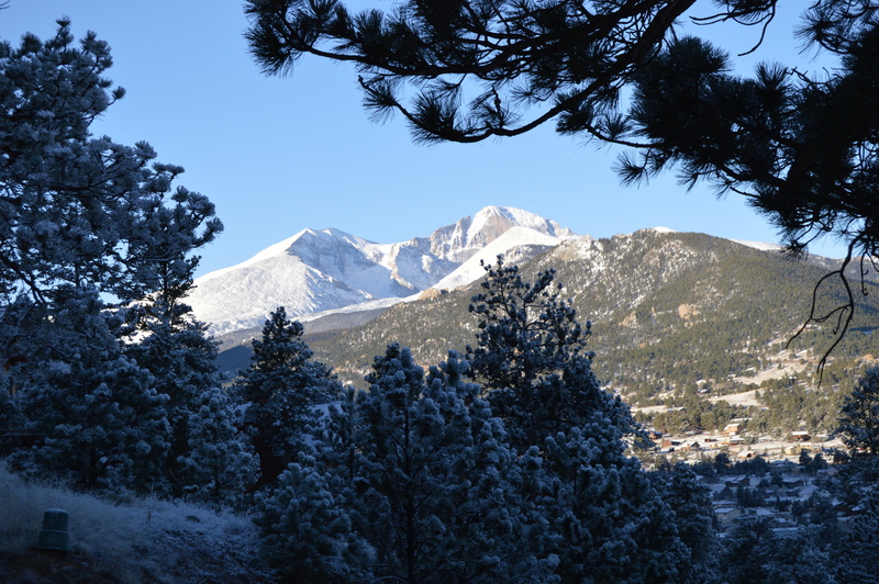 tranquility, land, pine trees, beauty in nature, coniferous tree, view, no people, growth, scenics - nature, landscape, colorado, rock formation, pine woodland