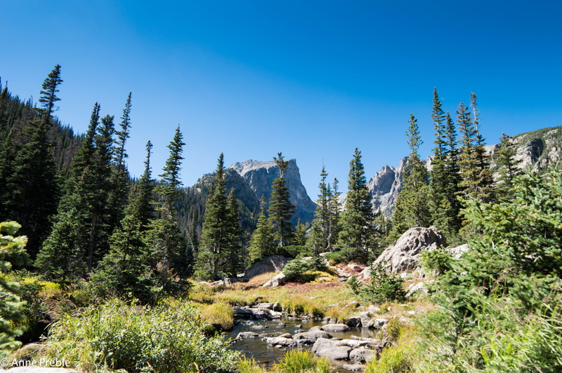 national parks, non-urban scene, no people, colorado, land, blue, scenics - nature, plant, tree, tranquil scene, coniferous tree, wilderness, mountains