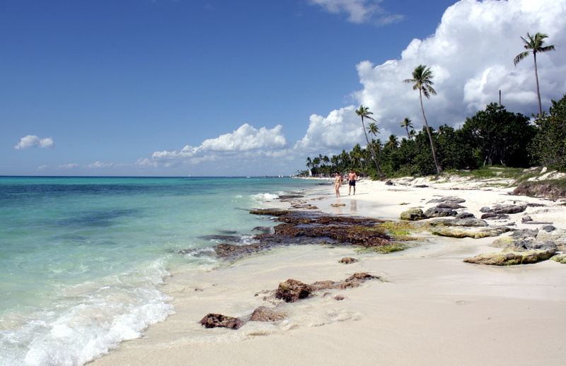 tropical Climate, turquoise blue, holiday, caribbean, palm Tree, the national park of the east, atlantic, beach, dominican republic, bayahibe, coconut palm tree