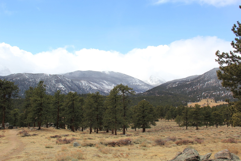 environment, tranquil scene, tree, scenics - nature, vacation, cloud - sky, rockies, rocky mountains, sky, land, no people, journey, 5K, tourism, summer