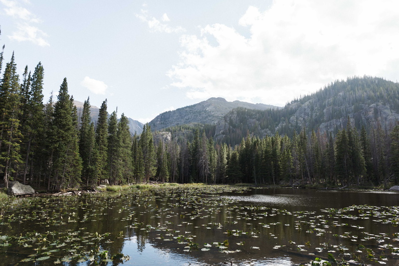 reflection lake, nature, idyllic, coniferous tree, scenics - nature, cloud - sky, tranquil scene, beauty in nature, lake, waterfront, water, 5K, pine woodland