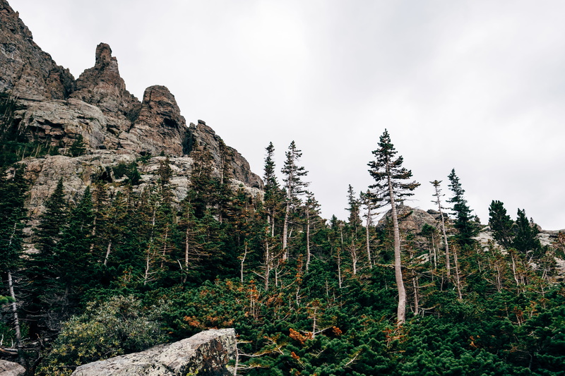 pines, mountainside, day, cloud - sky, non-urban scene, plant, sky, nature, national park, tranquil scene, scenics - nature, solid, colorado, rocky mountain national park