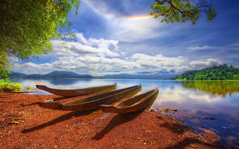 duck, plant, tranquility, hd, tranquil scene, tree, beach, town, nature, scenics - nature, land, reflection, cloud - sky, clouds, rowboat, lake, moored