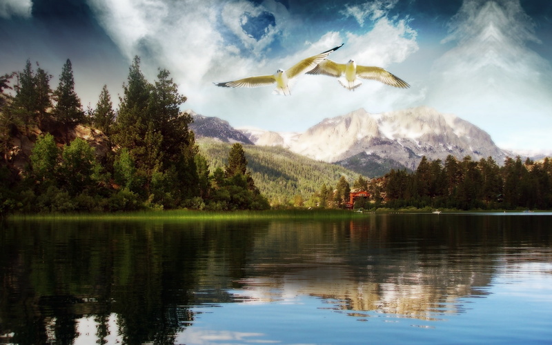 Dream, forest, World, river, surrounded, 1080P, trees, beauty, Lake