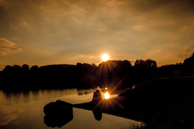 scenics, Sun, dusk, Sunset, landscape, silent, enjoy, sunlight, Sky, summer, scenics - nature, near, trees, silhouette, rest, beauty In Nature, tree, river