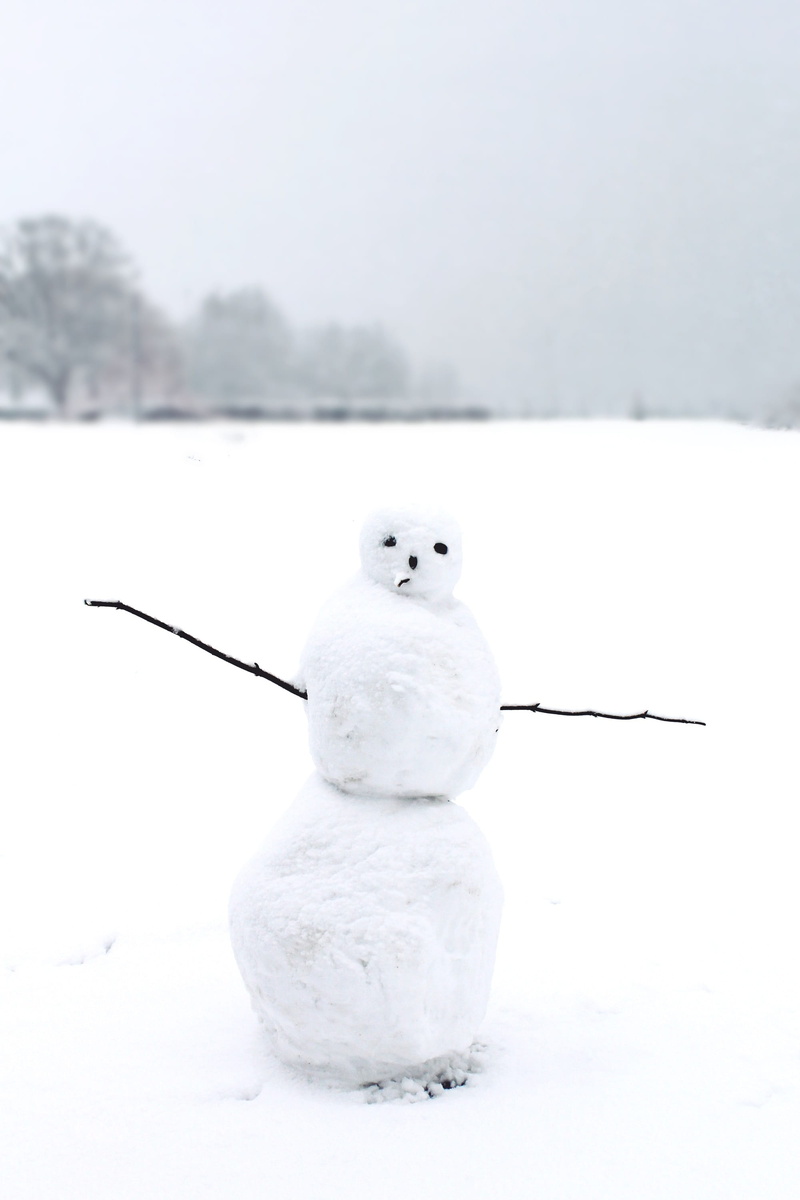 winter magic, snowing, weather, art and craft, scenics - nature, white color, craft, White, winter mood, cold, creativity, frost, focus on foreground, snow