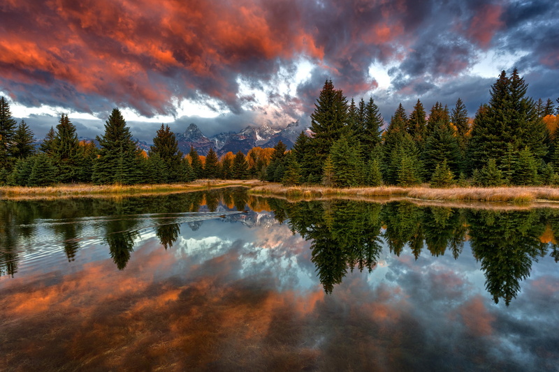 the snake river, USA, mountains, forest, reflection, Nature, duck, national Park Grand Teton, clouds, the sky, morning, 1080P, Wyoming, Schwabachers Landing