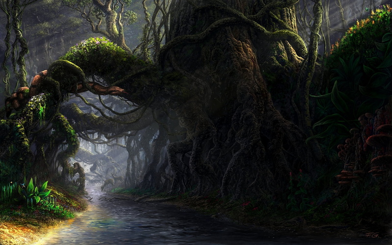 dark, mystery, rainforest, land, plant, 1080P, Fel-X, footpath, art and craft, green Color, mushrooms, forest, flowing water, growth, water, stream, landscape