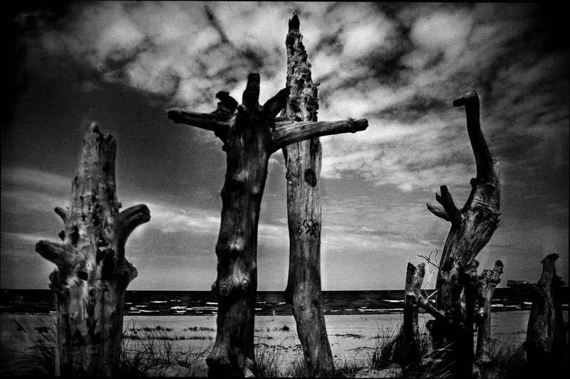 sky, flower, nature, traditional, ceremony, tranquil, clouds, island, old, danger, beautiful, sculpture, hdr, black and white, olkhon, sand, symbol, tree
