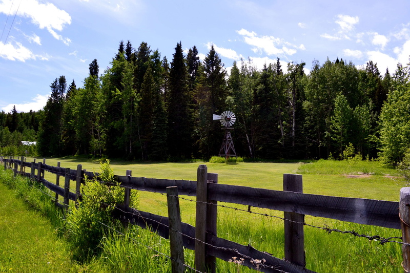 heritage, beauty in nature, pristine, non-urban scene, old fashioned, green color, field, nature, boundary, growth, grass, canada, no people, fence, plant
