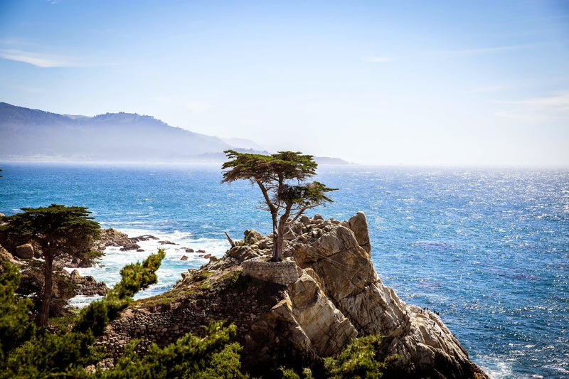 tranquility, plant, idyllic, landscape, beach, coast, rock, scenics, nature, ocean, coastline, pristine, scenics - nature, sea, shore, photo, water, non-urban scene