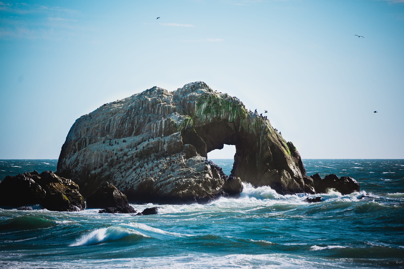 extreme, animals, rock, natural arch, horizon, tranquil scene, outdoors, beauty in nature, rock formation, breakwater, birds, arch, scenics - nature, cliff