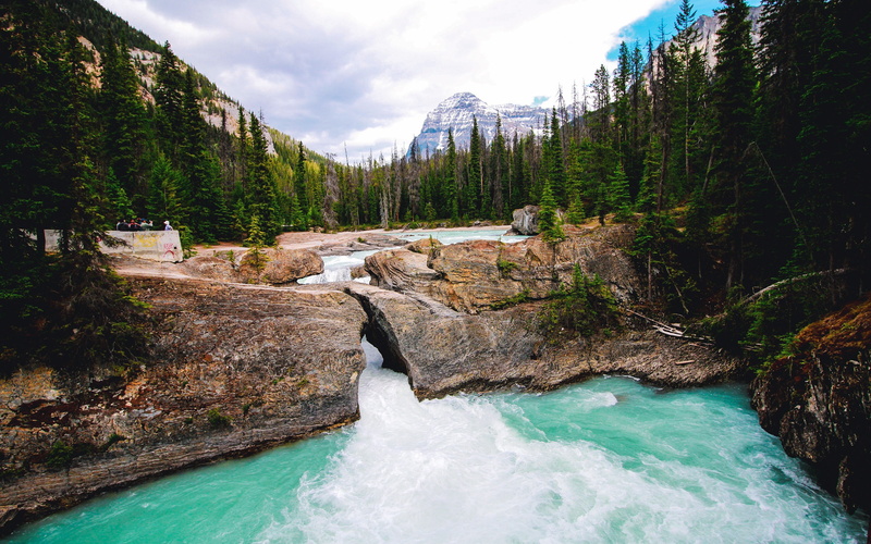 nature, rock, 2K, river, sky, pristine, land, solid, scenics - nature, water, plant, motion, tree, waterfall, rock - object, jungle, snow, power in nature