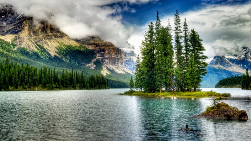 beauty in nature, sky, mountain, environment, pine woodland, island, maligne, tranquil scene, woodland, tranquility, tree, water, pine tree, plant, cloud - sky