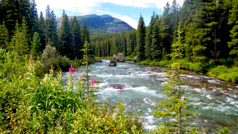 hd, river, 2K, south, maligne, side, lake, enters