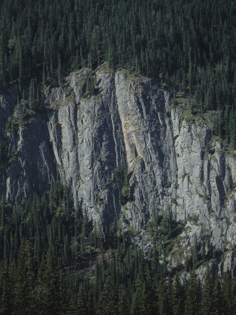solid, banff, rock, non-urban scene, land, aerial, pacific, eye, daytime, rock - object, eroded, woodland, outdoors, nature, photography, geology, tree