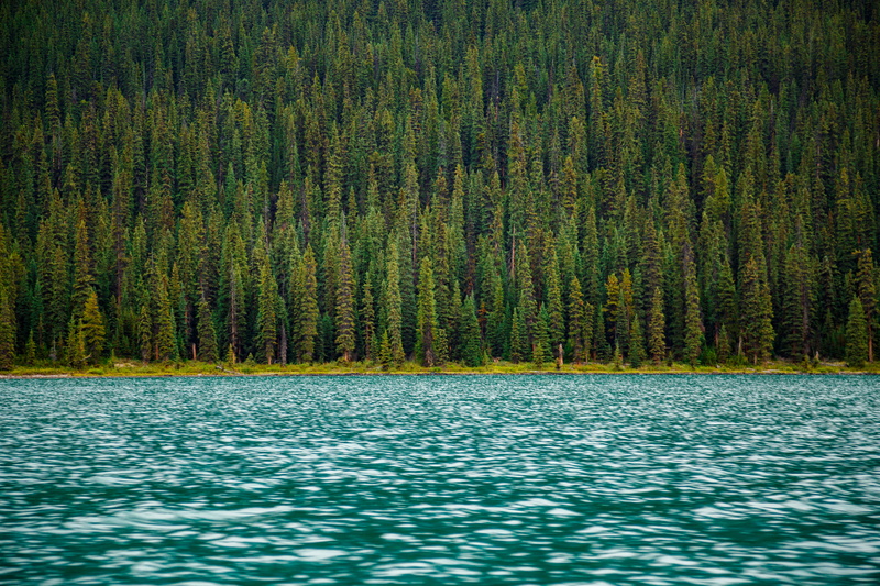 outdoors, plant, 4K, pine woodland, body, no people, albertum, canada, idyllic, ocean, trees, maligne lake, water, wood, nature, tranquility, current