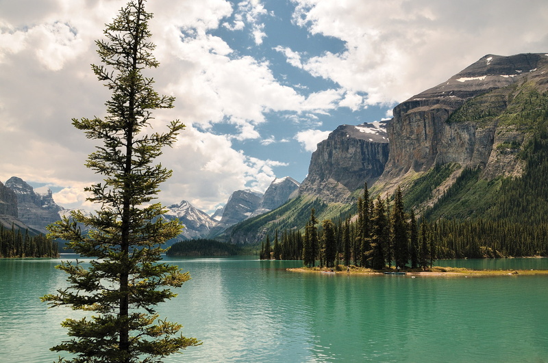island, Canada, trees, mountains, lake, 1080P, leafed, Jasper, green, Albert, pine, tree, Maligne Lake, the sky, clouds