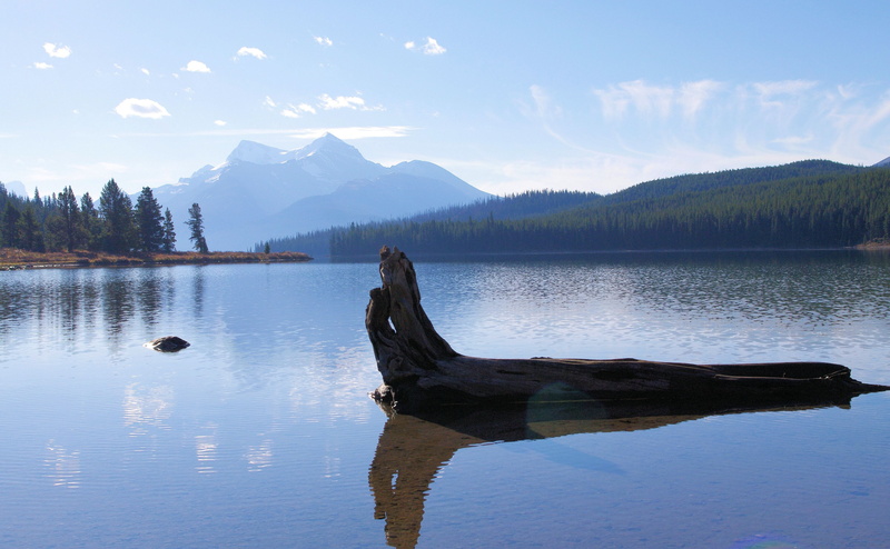 reflection, non-urban scene, wood, tranquility, lake, outdoors, beauty in nature, driftwood, mountain range, sky, idyllic, Alberta, day, tree, scenics - nature