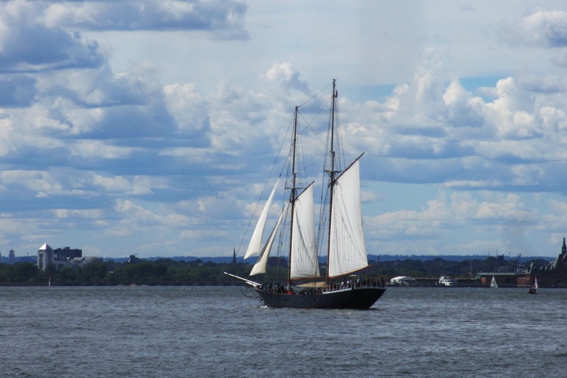 transportation, sail, brooklyn bridge park, mast, outdoors, day, sailing, sailboat, nyc, 4K, sea, travel, ship, water, pole, waterfront, nautical vessel