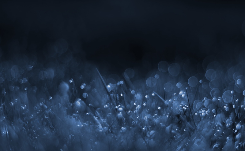 Blue, motion, sparkles, abstract, Macro, Darkness, rain, black background, 4K, wet, Grass, digital, no people, defocused, night, vulnerability, nature