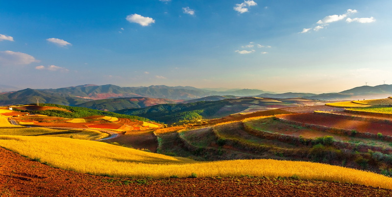 field, landscape, 1080P, yunnan (china), China