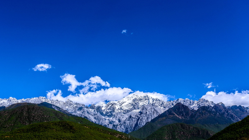 tree, clear Sky, 4K, environment, green Color, no People, nature, himalayas, mountain Peak, cloud - Sky, scenics - nature, europe, switzerland, tranquility