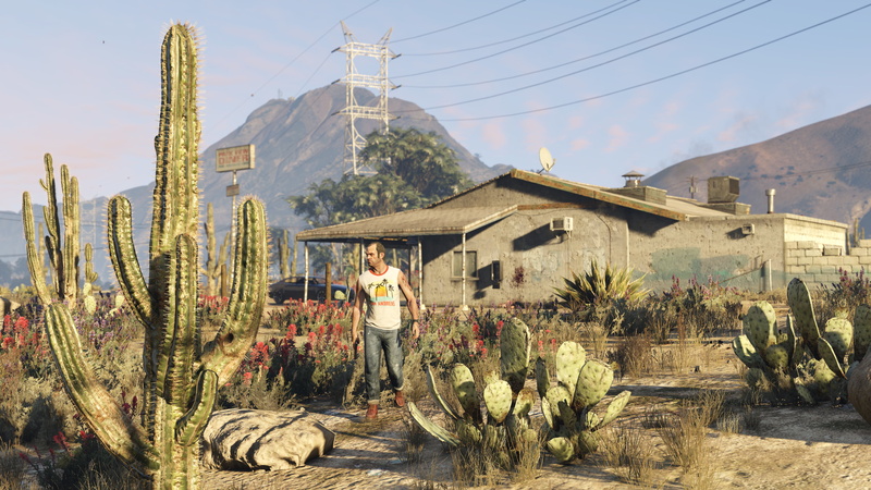 cactus, men, standing, full length, architecture, gta 5, sky, built structure, front view, real people, Phillips, plant, building exterior, mountain, 4K