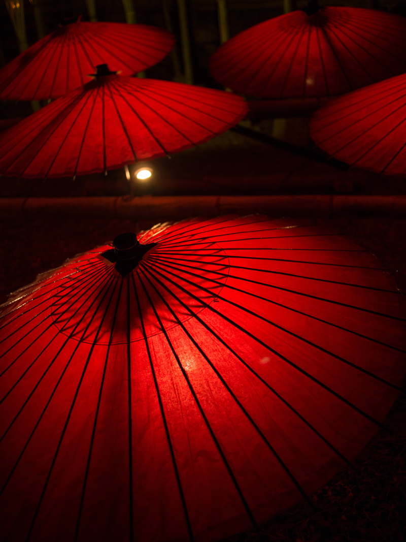 absence, hot springs, outdoors, focus on foreground, red, 4K, lighting equipment, parasol, japan, illuminated, japanese style, safety, pattern, nature