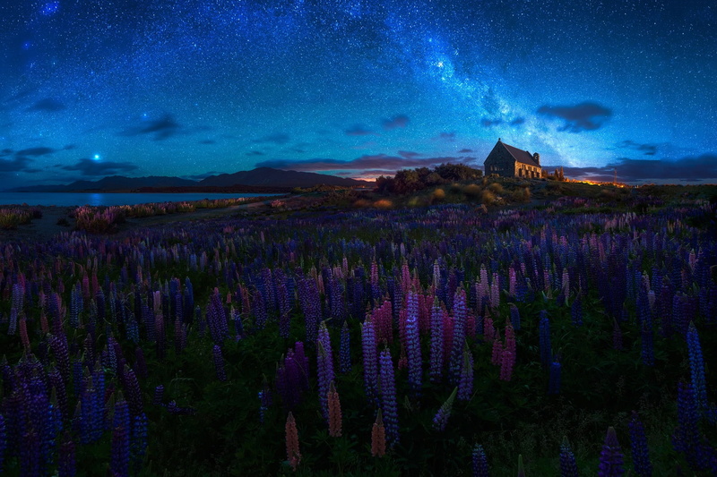 temple, 1080P, the sky, lupins, summer, New Zealand, the milky way, spring, night, Church, flowers