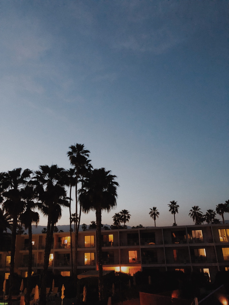 outdoors, dusk, 4K, los angeles, the saguaro palm springs, lights, nature, tropical climate, palm, california, la, united states, sky, plant, architecture