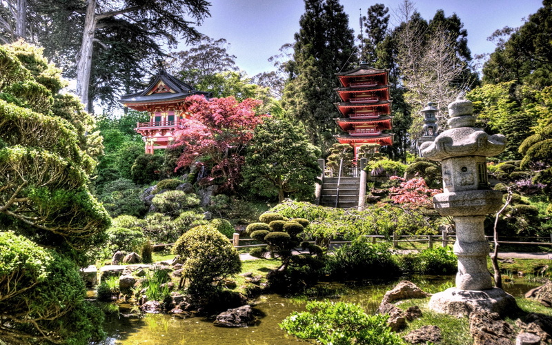 garden, japan garden, hdr, 3d and abstract, tea, japan, tea garden, 2K, japanese