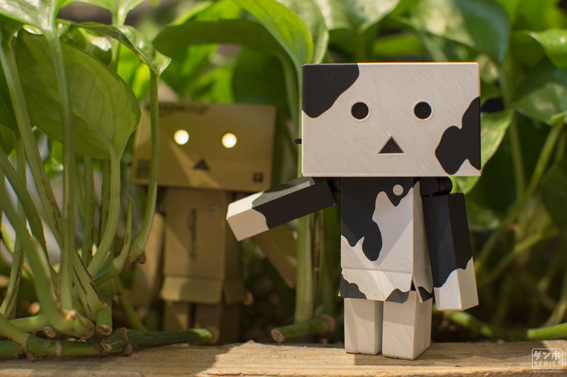 Danbo, nature, Japanese Garden, wood - material, plant, art and craft, representation, plant part, creativity, leaf, night, relaxing, close-up, Tokyo, Japanese