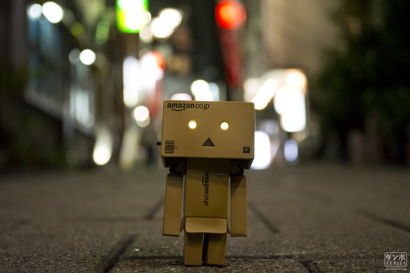 Amazon, Japan, Danbo, night, Osaka, Tokyo, 1080P, relaxing, anime, Japanese, nature, Japanese Garden