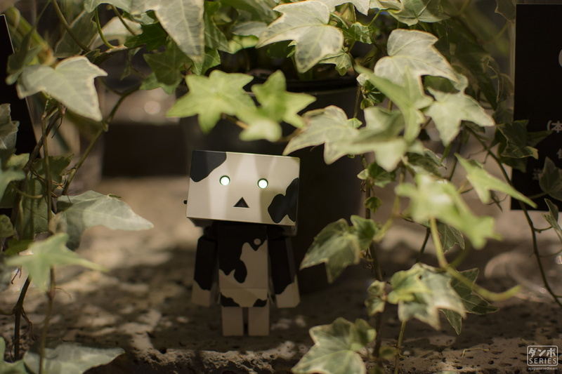 Danbo, leaf, paper, Japan, tree, robot, white color, toy, outdoors, Amazon, Japanese Garden, Tokyo, day, relaxing, Osaka, field, plant, creativity, 1080P