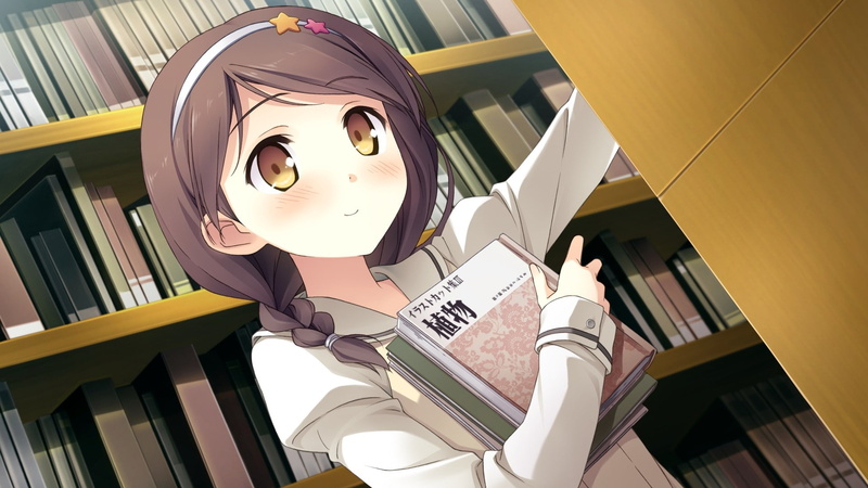hirosaki, diary, cg, abstract, kanade, 1080P, d, game cg, Your Diary, art, game, hd