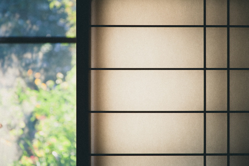 window, wall - building feature, abstract, no people, indoors, pattern, background, glass - material, metal, transparent, geometric, plant, squares, close-up