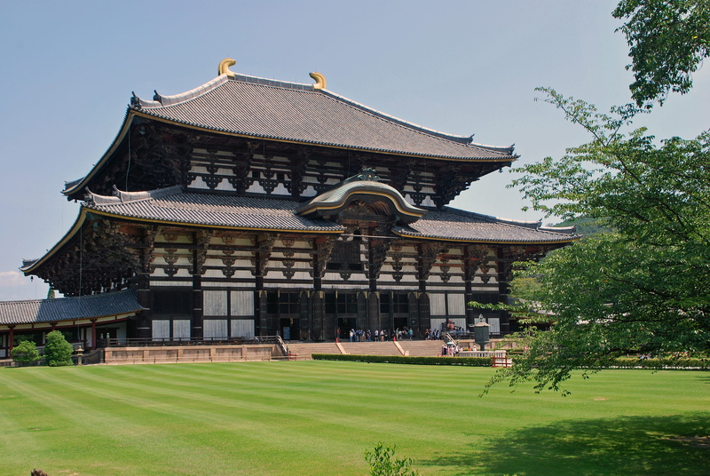tree, travel destinations, plant, building, architecture, no people, outdoors, sky, nara prefecture, spirituality, 4K, day, grass, belief, nature, place of worship
